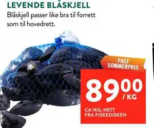 LEVENDE BLÅSKJELL