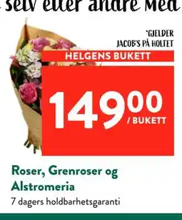 Jacobs Roser, Grenroser og Alstromeria tilbud