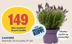 Coop Mega Lavendel, Medlemspris tilbud