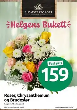 Joker Roser, Chrysanthemum og Brudeslør tilbud