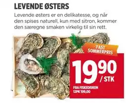 Meny LEVENDE ØSTERS tilbud