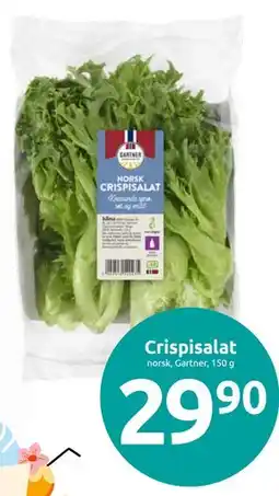 Joker Crispisalat tilbud
