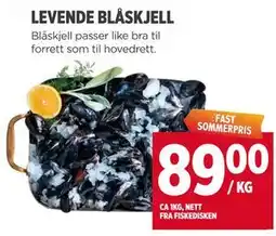 Meny LEVENDE BLÅSKJELL tilbud