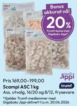 Gigaboks Scampi ASC, Medlemspris tilbud