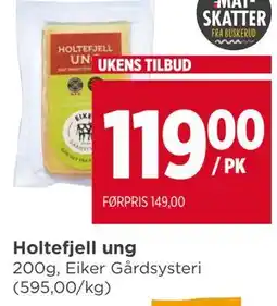 Meny Holtefjell ung tilbud
