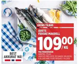 Meny ÅRETS FERSKE MAKRELL tilbud
