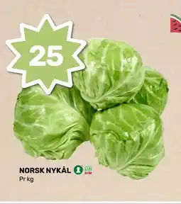 Matkroken NORSK NYKÅL tilbud