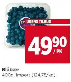 Blåbær