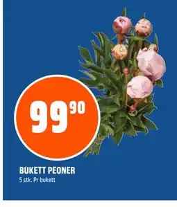 Coop Obs BUKETT PEONER tilbud