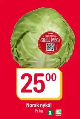Coop Extra Norsk nykål tilbud