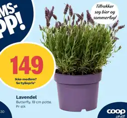 Coop Extra Lavendel tilbud