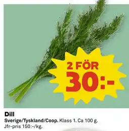 Stora Coop Dill Sverige/Tyskland/Coop. tilbud