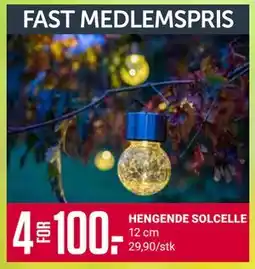 Europris HENGENDE SOLCELLE, Medlemspris tilbud