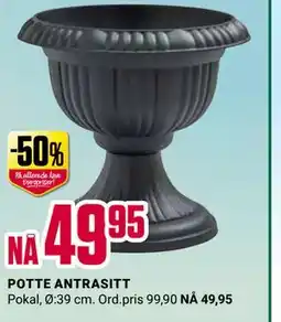 Europris POTTE ANTRASITT tilbud