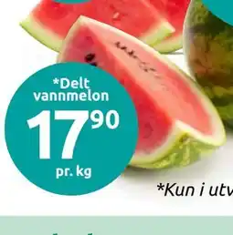 Joker Delt vannmelon tilbud