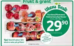 Joker Fersken/Plommer/Nektariner/Aprikoser tilbud
