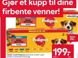 Rusta Våtfôr, hund Pedigree tilbud