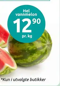 Joker Hel vannmelon tilbud