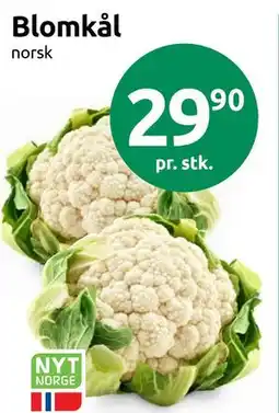 Joker Blomkål tilbud