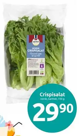 Joker Crispisalat tilbud
