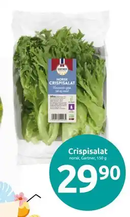 Joker Crispisalat tilbud