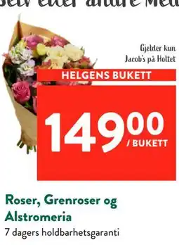 Jacobs Roser, Grenroser og Alstromeria tilbud