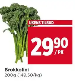 Meny Brokkolini tilbud