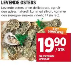 Meny LEVENDE ØSTERS tilbud