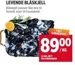 Meny LEVENDE BLÅSKJELL tilbud