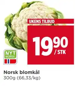 Meny Norsk blomkål tilbud