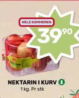Matkroken NEKTARIN I KURV tilbud