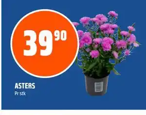 Coop Obs ASTERS tilbud