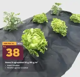 Megaflis Home It ugressduk 50 g/80 g/m² tilbud