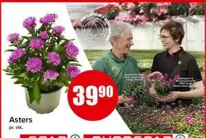 Spar Asters tilbud