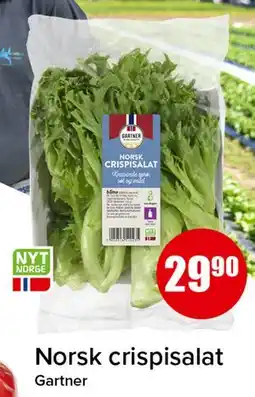 Spar Norsk crispisalat tilbud