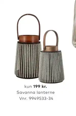 Savanna lanterne