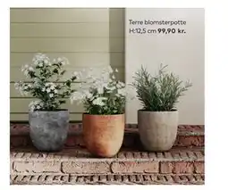 Skeidar Terre blomsterpotte tilbud