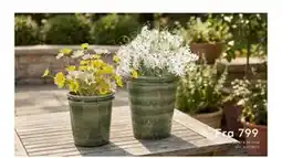 Skeidar Moss blomsterpotte tilbud