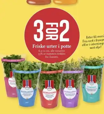 CC Mat Friske urter i potte tilbud