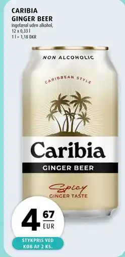 Scandinavian Park CARIBIA GINGER BEER, EUR 4.67 tilbud