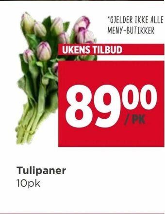 Meny Tulipaner tilbud