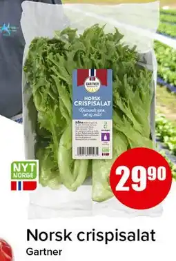 Spar Norsk crispisalat tilbud