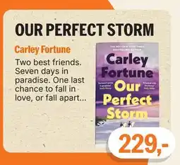 Ark Bokhandel OUR PERFECT STORM tilbud