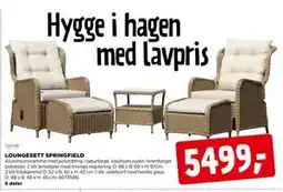 jem & fix LOUNGESETT SPRINGFIELD tilbud