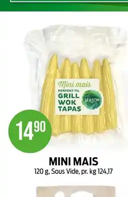 Kiwi MINI MAIS tilbud