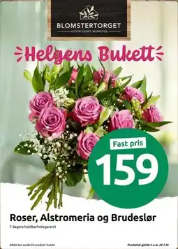 Joker Roser, Alstromeria og Brudeslør tilbud