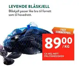 Jacobs LEVENDE BLÅSKJELL tilbud