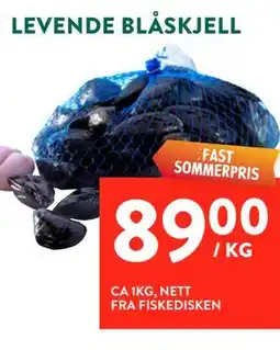 Jacobs LEVENDE BLÅSKJELL tilbud