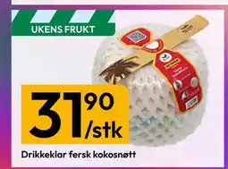 Gigaboks Drikkeklar fersk kokosnøtt tilbud