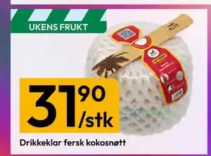 Gigaboks Drikkeklar fersk kokosnøtt tilbud
